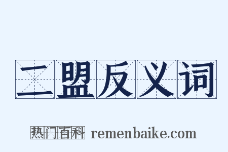二盟反义词是什么意思的图片